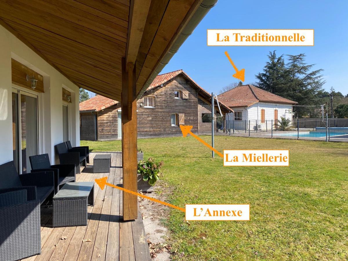 Ensemble De 3 Villas Avec Piscine Chauffee, Esprit Detente Sanguinet Zewnętrze zdjęcie